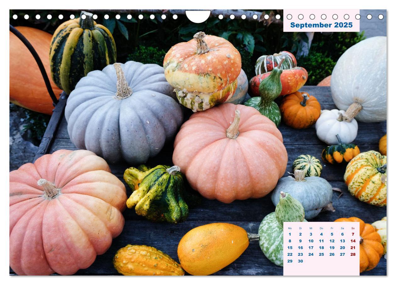 Bild: 9783383864810 | Küchenkalender Vegetarisch für Genießer 2025 (Wandkalender 2025 DIN...