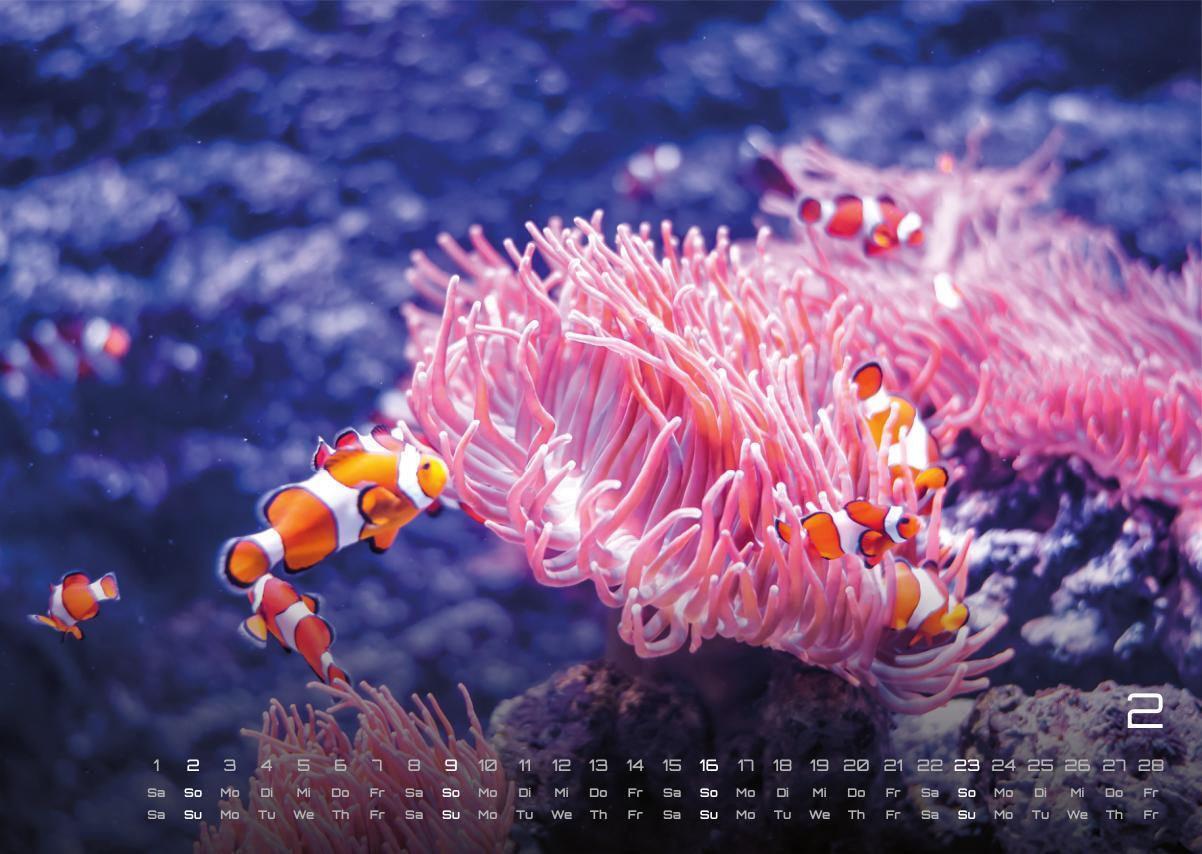 Bild: 9783986734305 | Sealife - verborgene Tiefen - 2025 - Kalender DIN A3 | GP-Fever.de