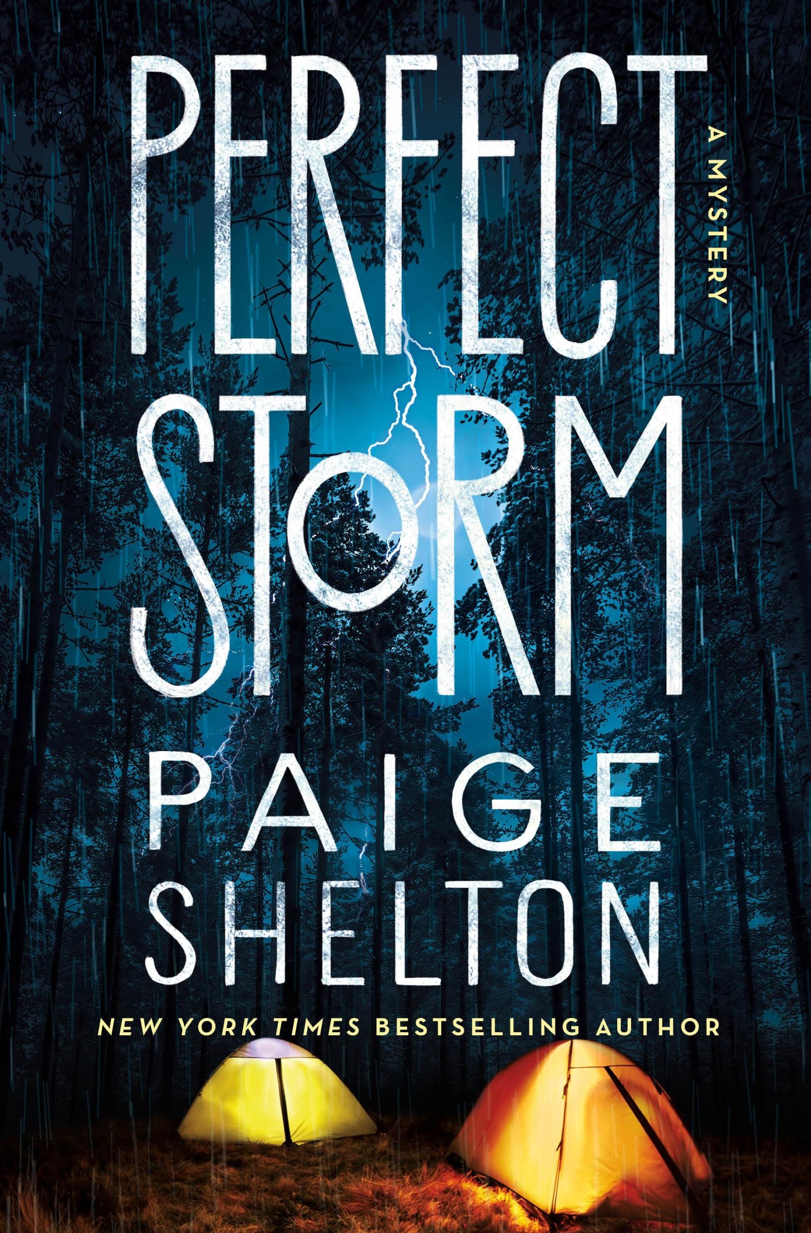 Cover: 9781250910462 | Perfect Storm | A Mystery | Paige Shelton | Buch | Englisch | 2024