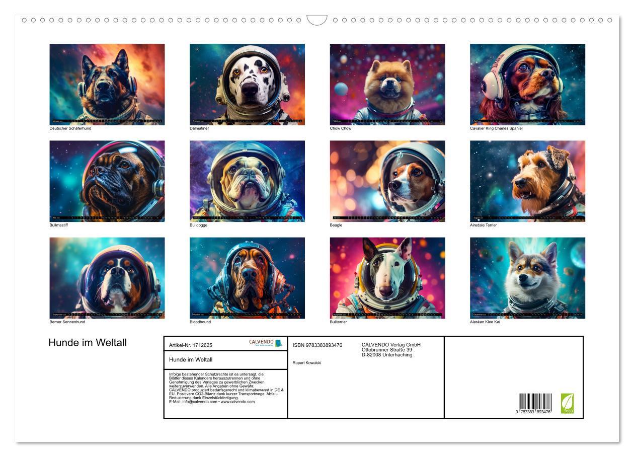 Bild: 9783383893476 | Hunde im Weltall (Wandkalender 2025 DIN A2 quer), CALVENDO...