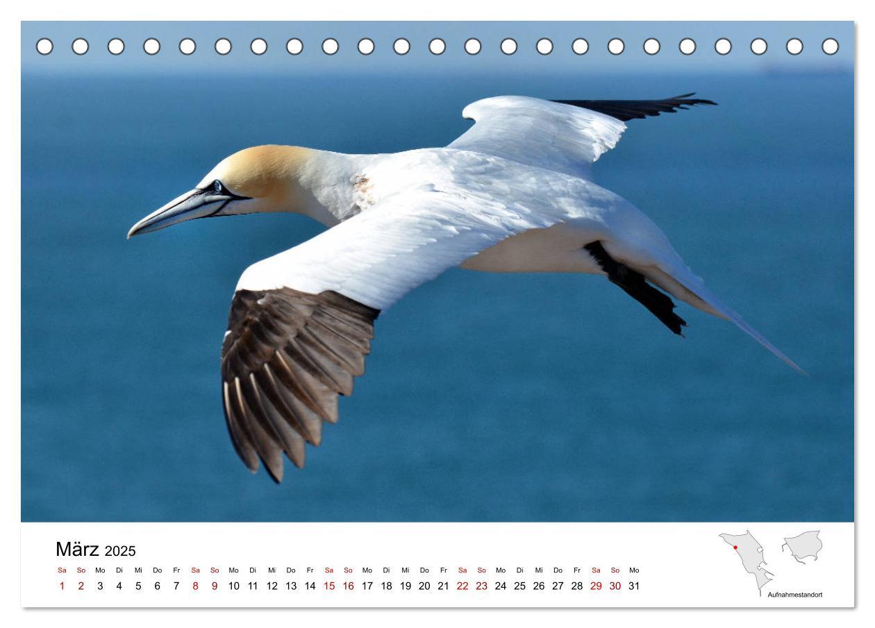 Bild: 9783435389254 | Mitreisekalender 2025 Helgoland (Tischkalender 2025 DIN A5 quer),...