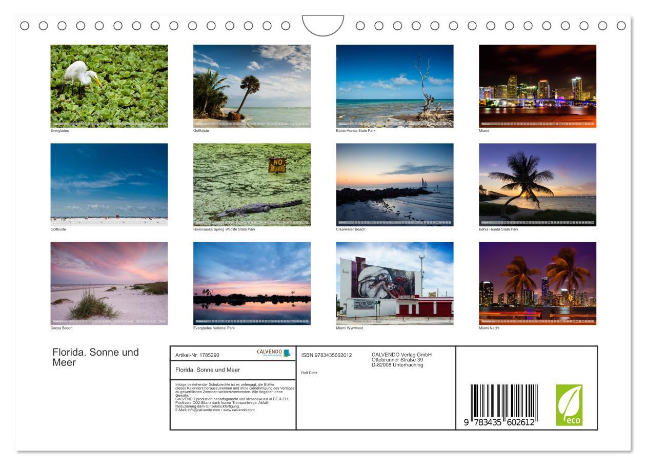 Bild: 9783435602612 | Florida. Sonne und Meer (Wandkalender 2025 DIN A4 quer), CALVENDO...