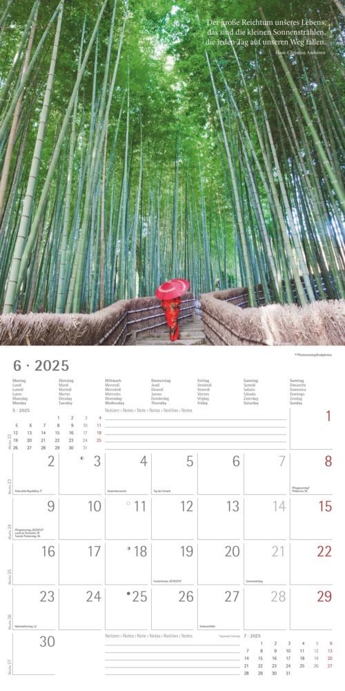 Bild: 4251732343149 | Alpha Edition - Meditation 2025 Broschürenkalender, 30x30cm,...