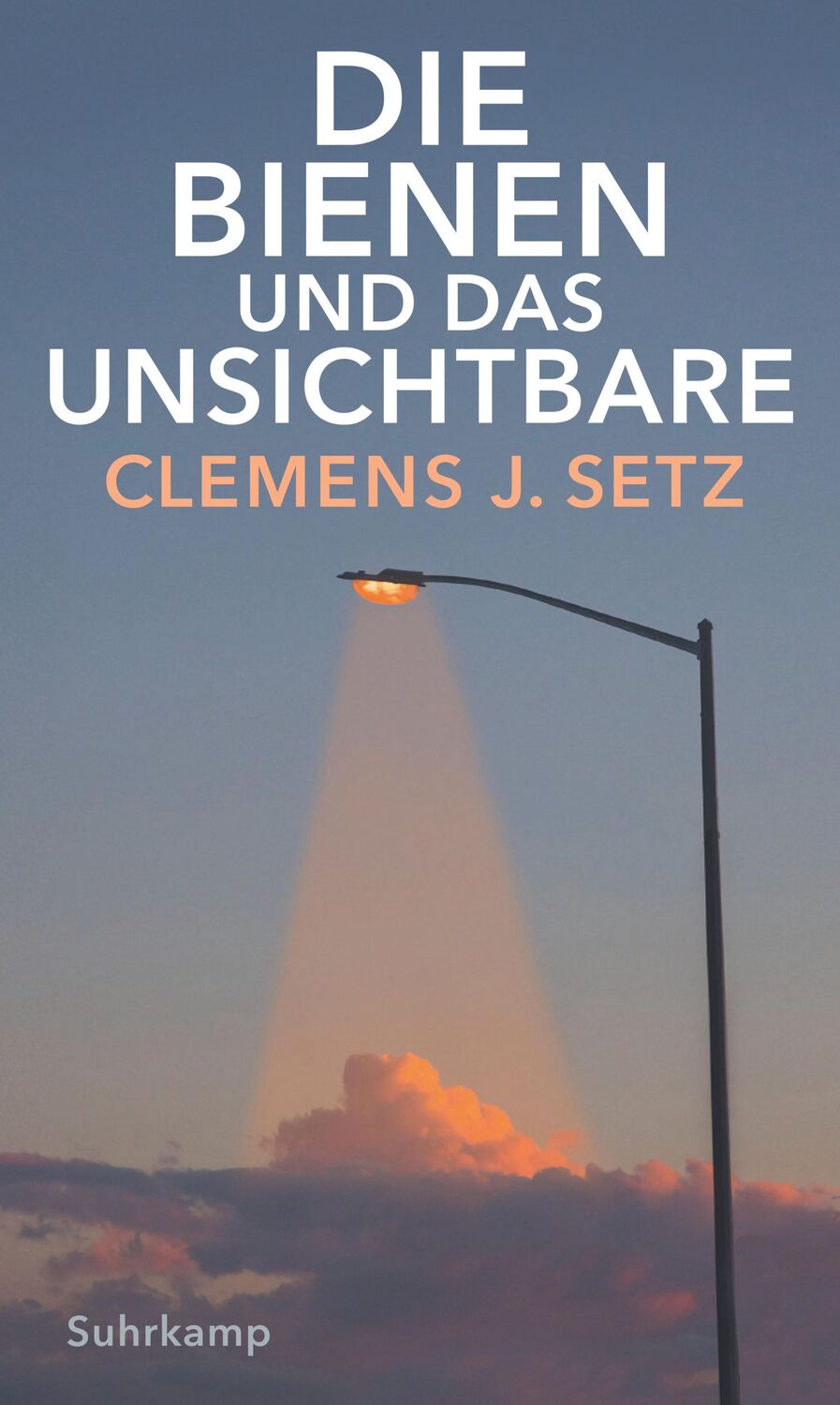 Cover: 9783518429655 | Die Bienen und das Unsichtbare | Clemens J. Setz | Buch | 416 S.