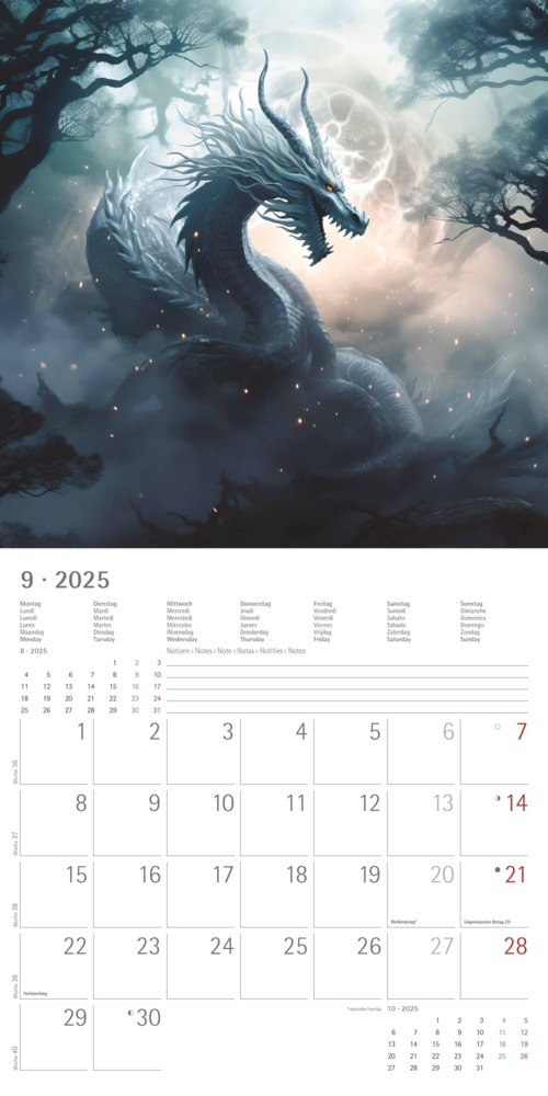 Bild: 4251732344320 | Alpha Edition - Drachen 2025 Broschürenkalender, 30x30cm, Kalender...