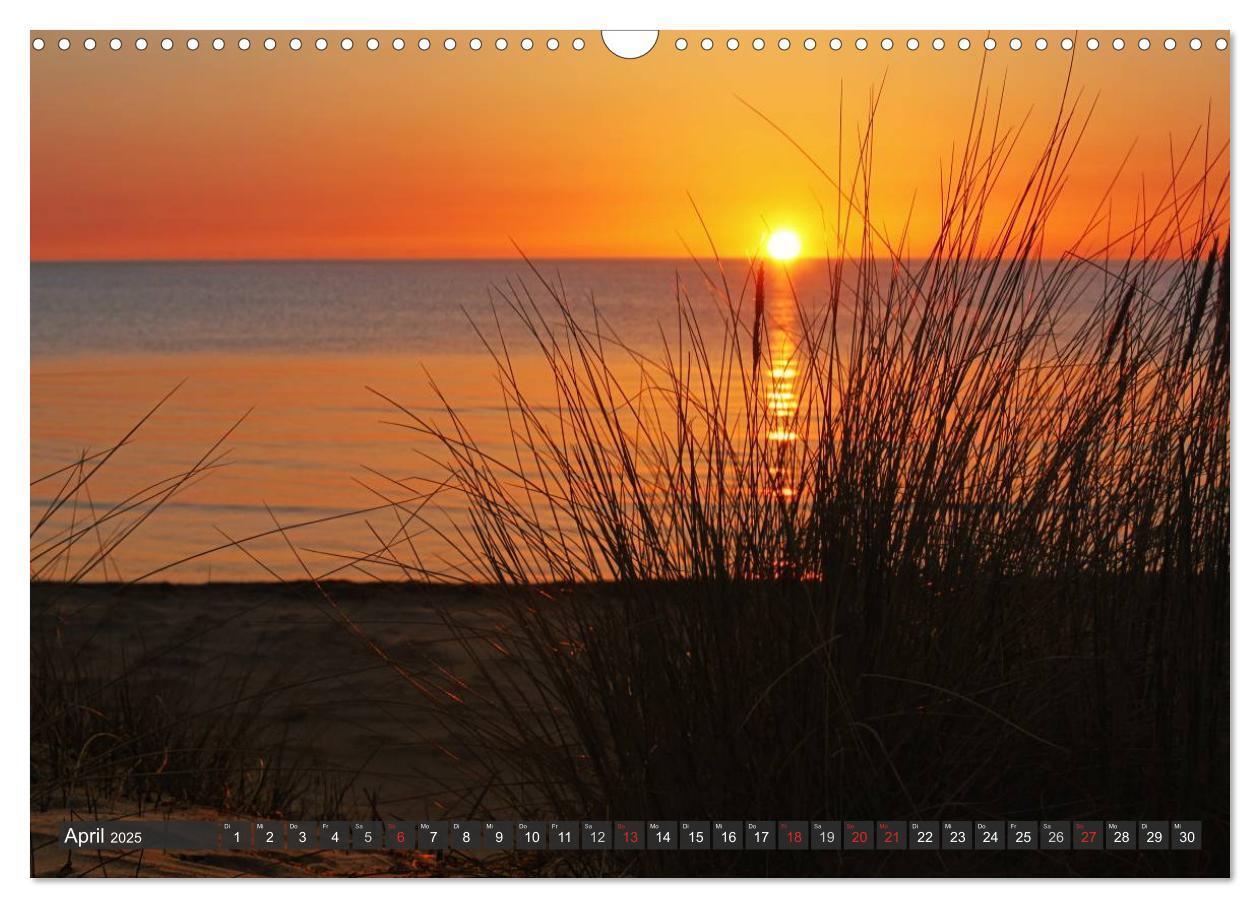 Bild: 9783435755417 | Insel Hiddensee (Wandkalender 2025 DIN A3 quer), CALVENDO...