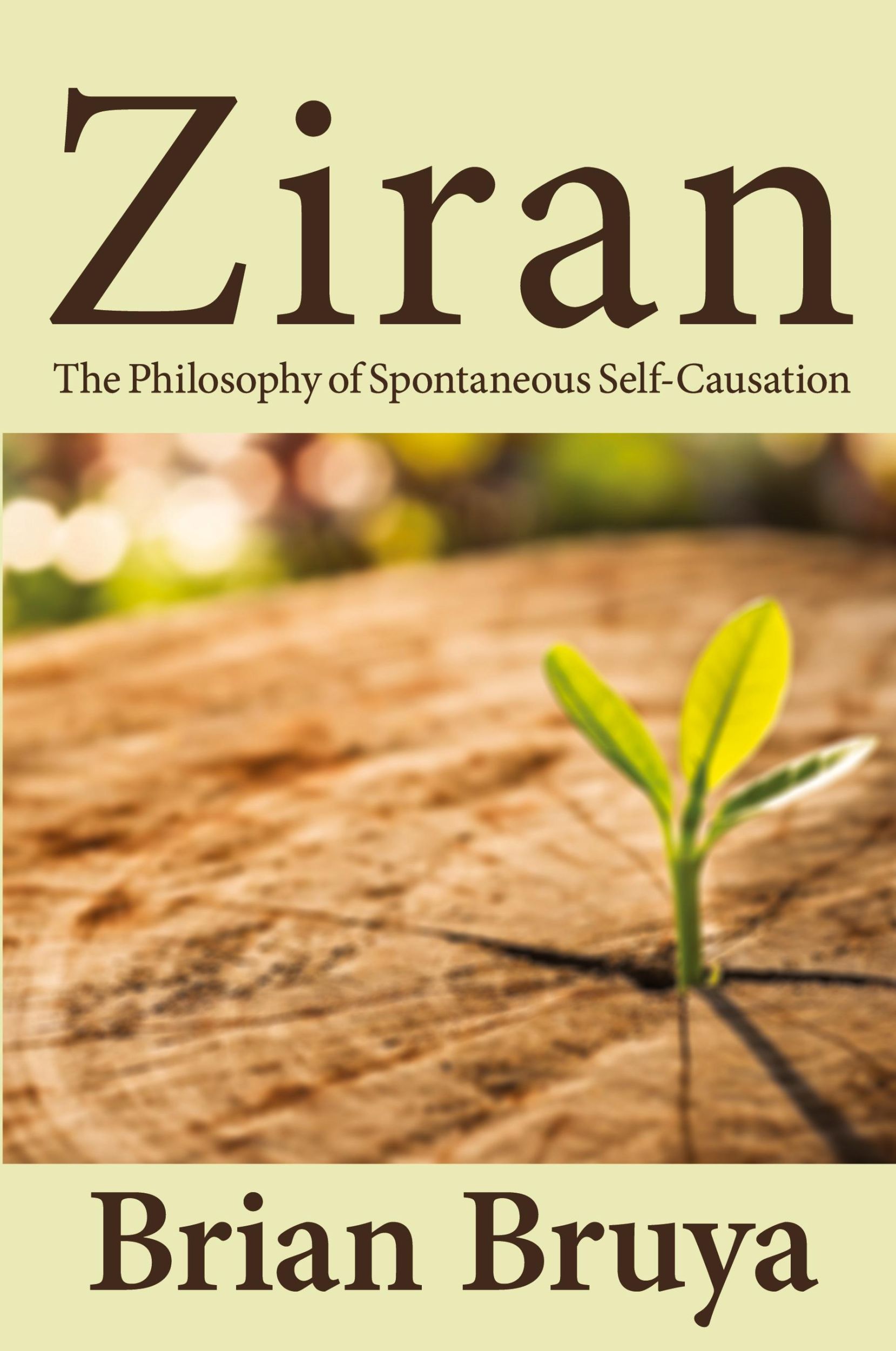 Cover: 9781438488301 | Ziran | The Philosophy of Spontaneous Self-Causation | Brian Bruya