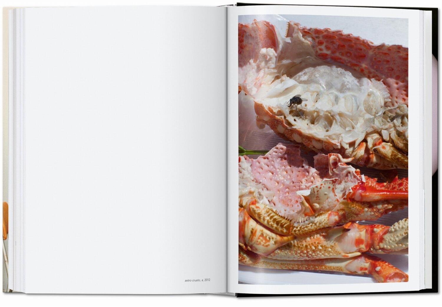 Bild: 9783836582537 | Wolfgang Tillmans. four books. 40th Ed. | Buch | GER, Hardcover | 2020