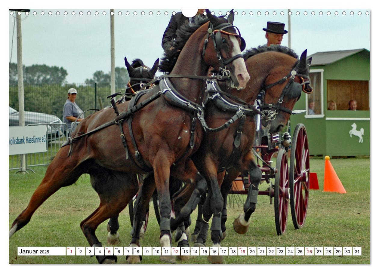 Bild: 9783383964572 | Vierspänner Herausforderung Fahrsport (Wandkalender 2025 DIN A3...