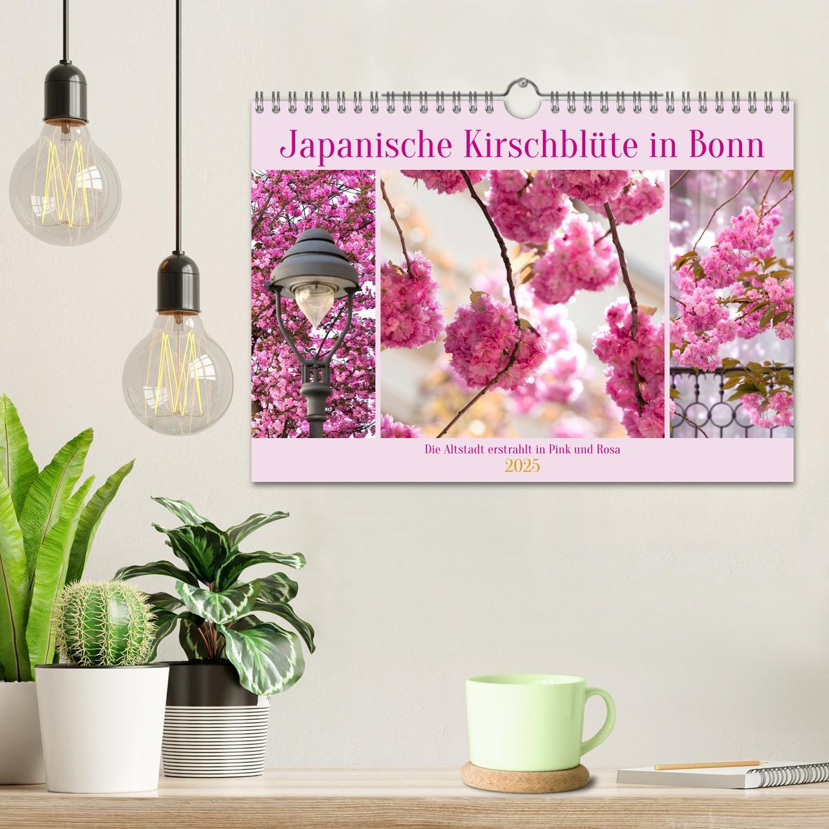 Bild: 9783457128084 | Japanische Kirschblüte in Bonn (Wandkalender 2025 DIN A4 quer),...