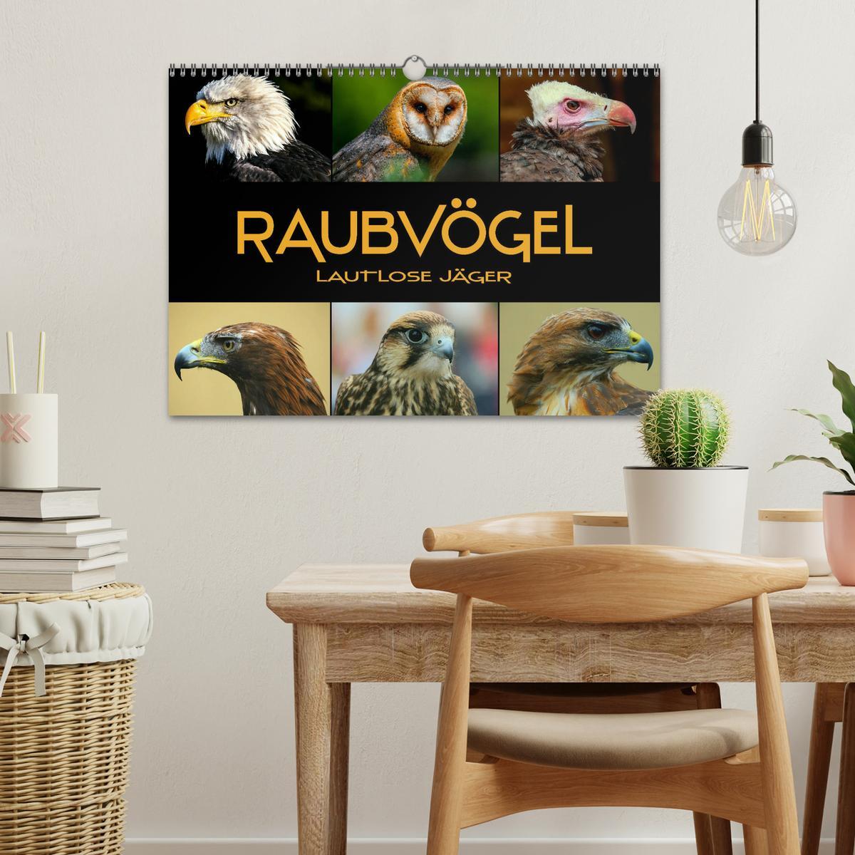 Bild: 9783435350421 | Raubvögel - lautlose Jäger (Wandkalender 2025 DIN A3 quer),...