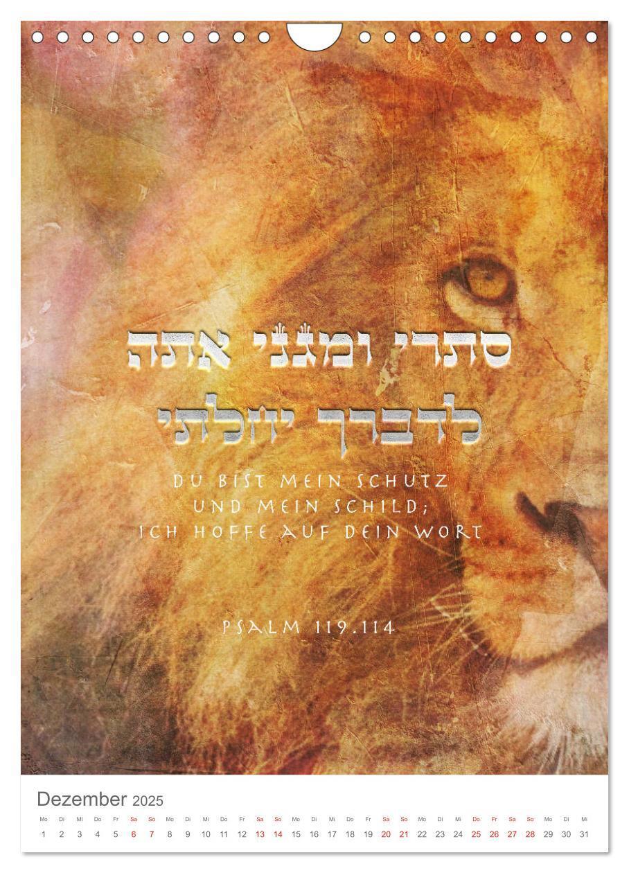 Bild: 9783435979271 | Psalmen Tehilim Hebräisch - Deutsch (Wandkalender 2025 DIN A4...