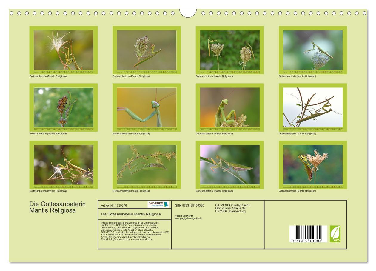 Bild: 9783435150380 | Die Gottesanbeterin Mantis Religiosa (Wandkalender 2025 DIN A3...