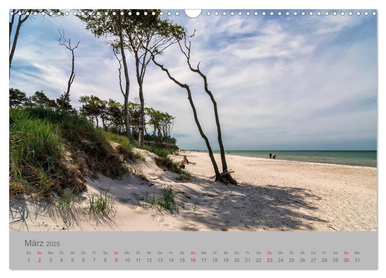 Bild: 9783435701896 | Ostsee, Fischland-Darß (Wandkalender 2025 DIN A3 quer), CALVENDO...