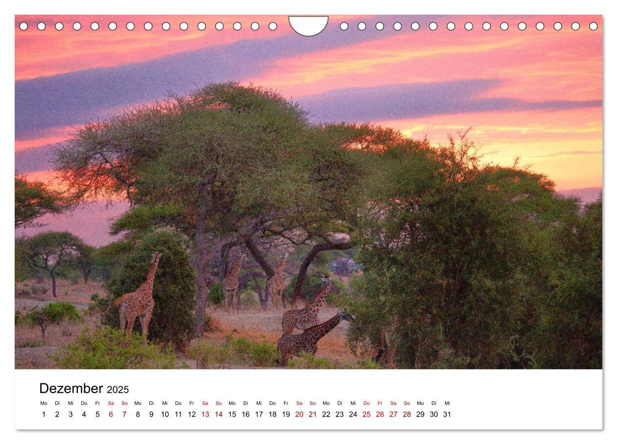 Bild: 9783435354627 | Blickpunkte Tansanias (Wandkalender 2025 DIN A4 quer), CALVENDO...