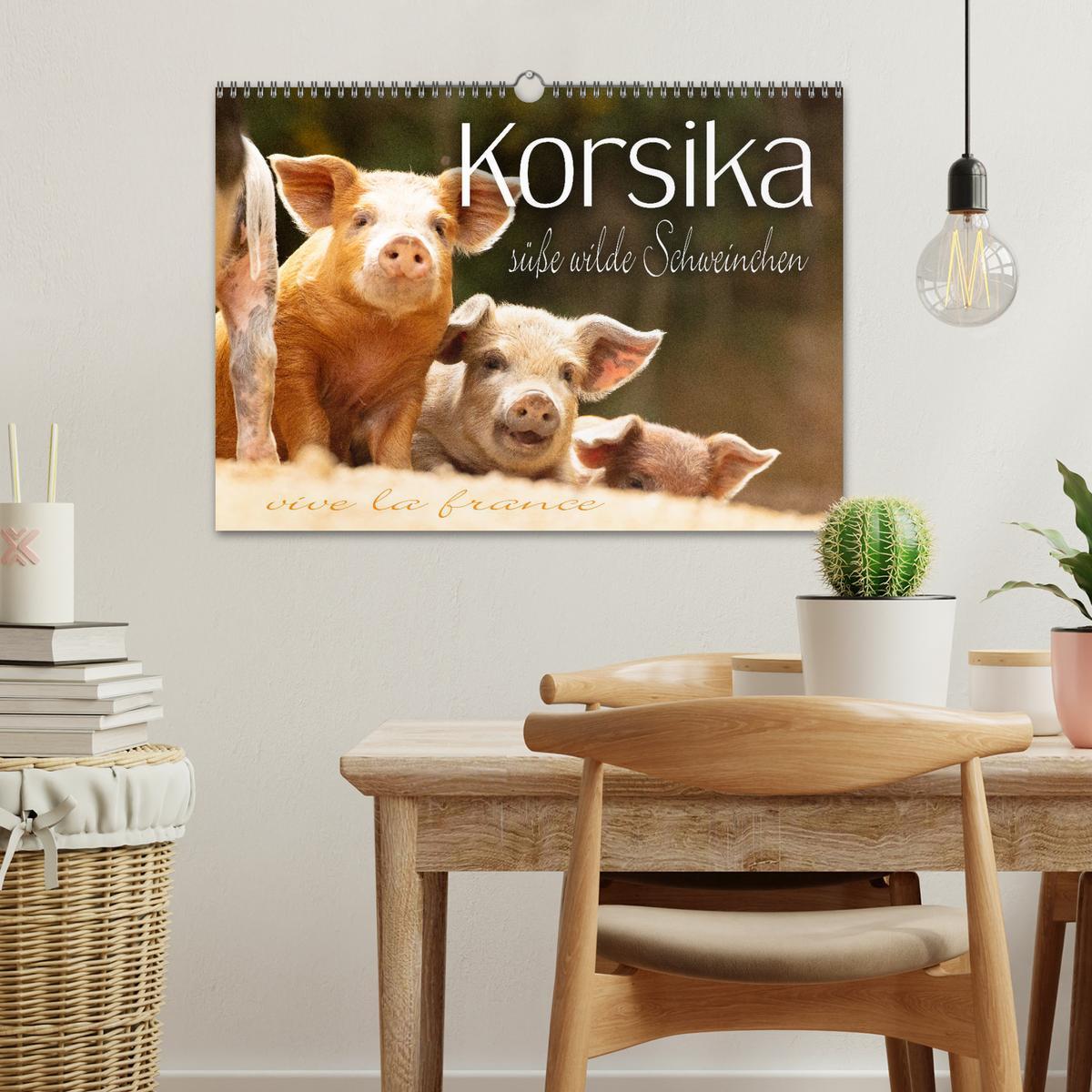 Bild: 9783435261529 | Korsika - süße, wilde Schweinchen (Wandkalender 2025 DIN A3 quer),...