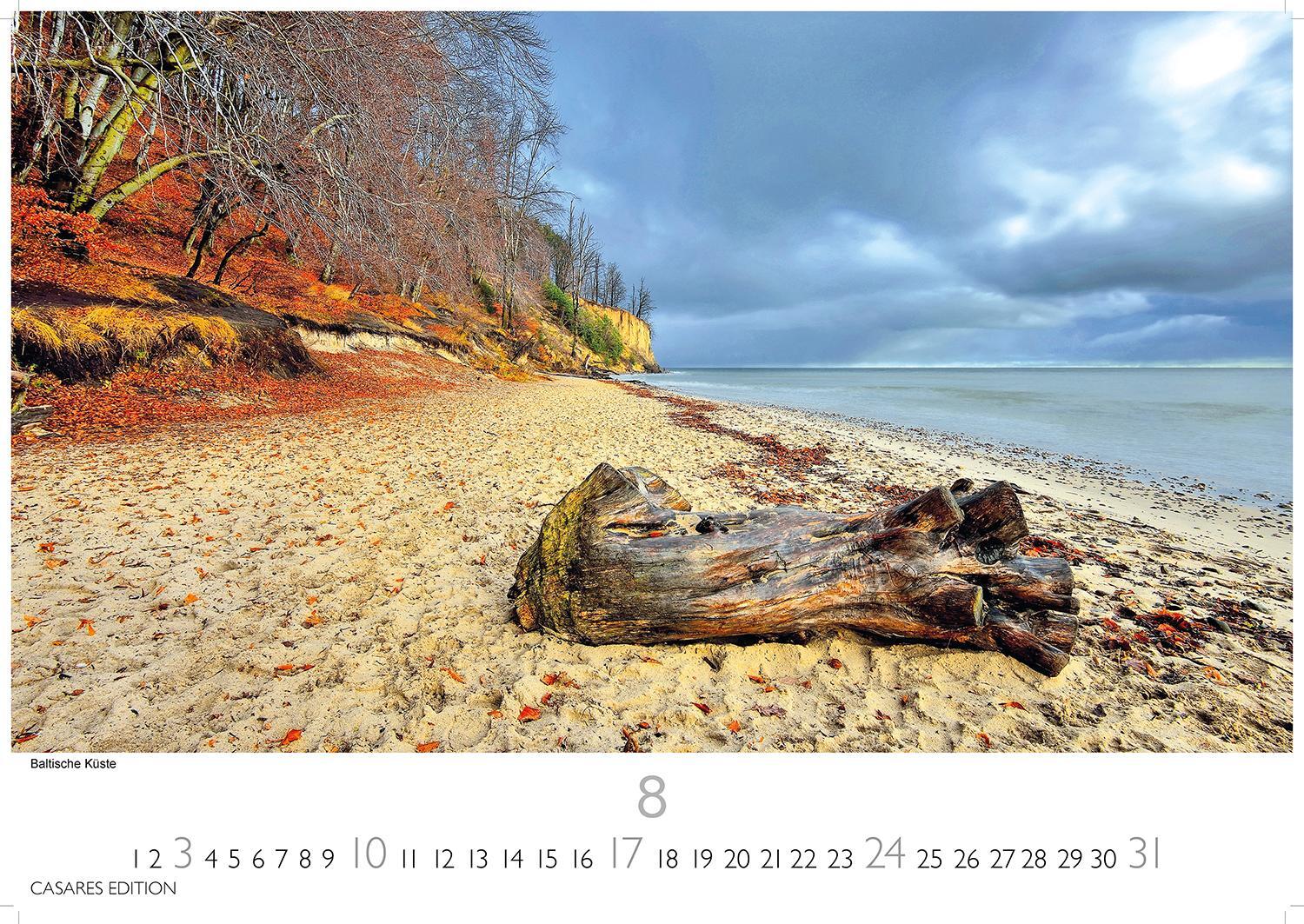 Bild: 9781835242889 | Ostseeküste 2025 L 35x50cm | Kalender | 14 S. | Deutsch | 2025