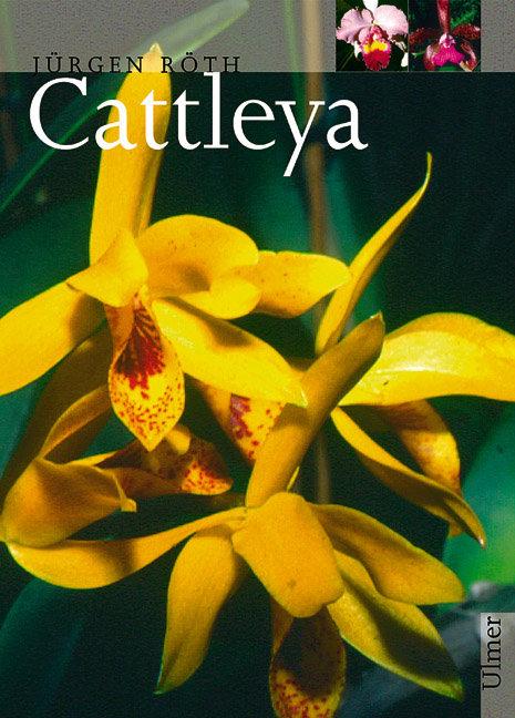 Cover: 9783800131532 | Cattleya | Jürgen Röth | Buch | Pflanzen-Monographien | 224 S. | 2001