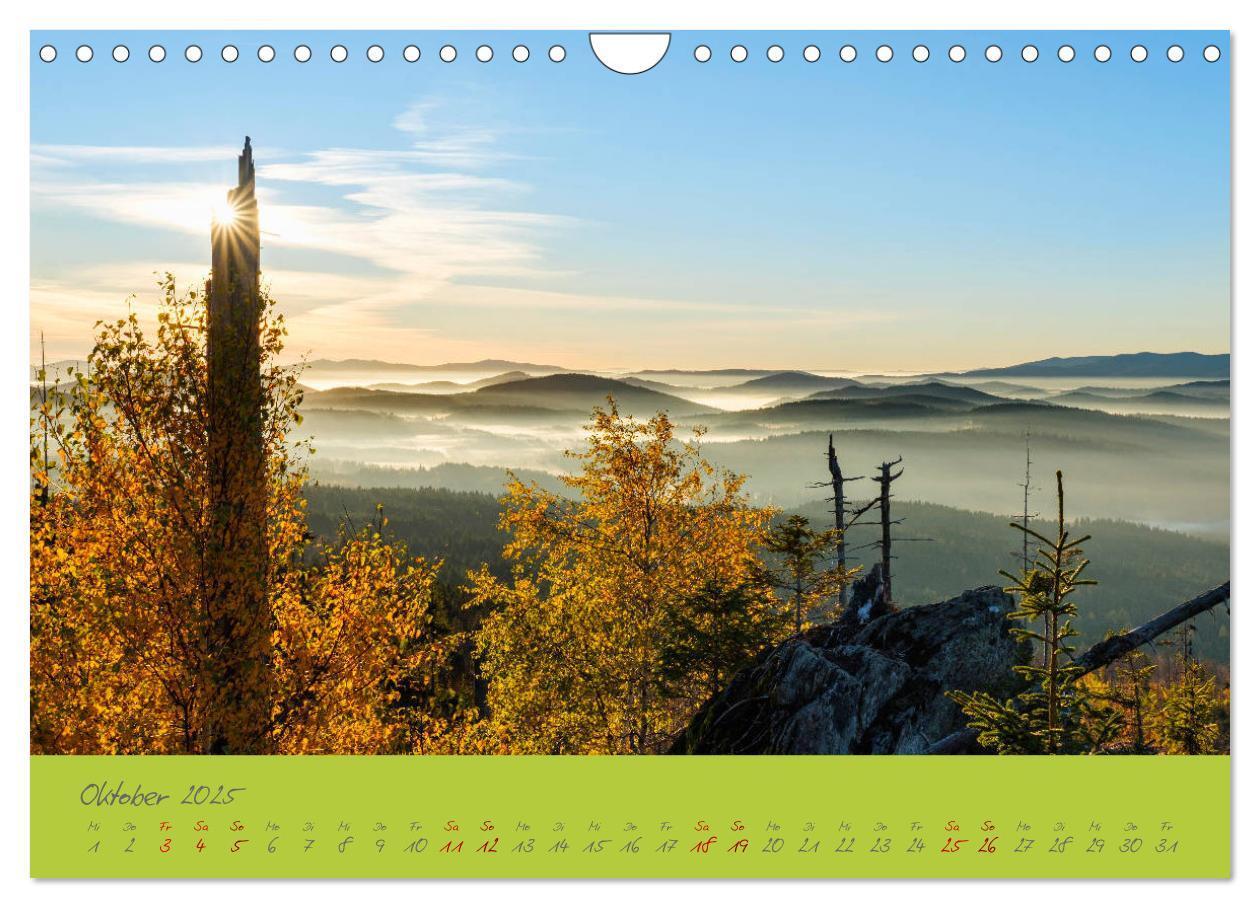 Bild: 9783435194247 | Der Bayerische Wald (Wandkalender 2025 DIN A4 quer), CALVENDO...