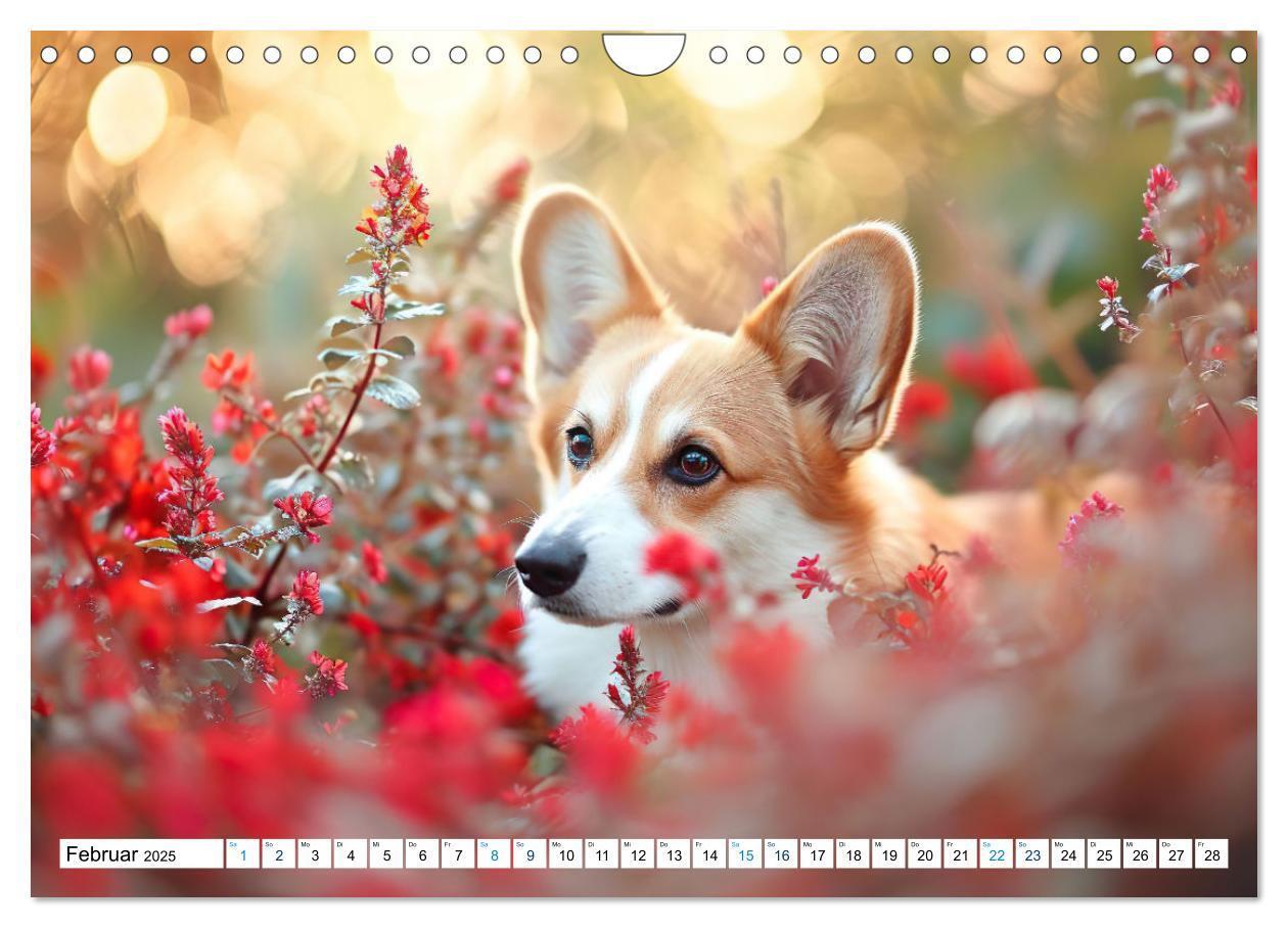 Bild: 9783383776069 | Happy Corgis (Wandkalender 2025 DIN A4 quer), CALVENDO Monatskalender