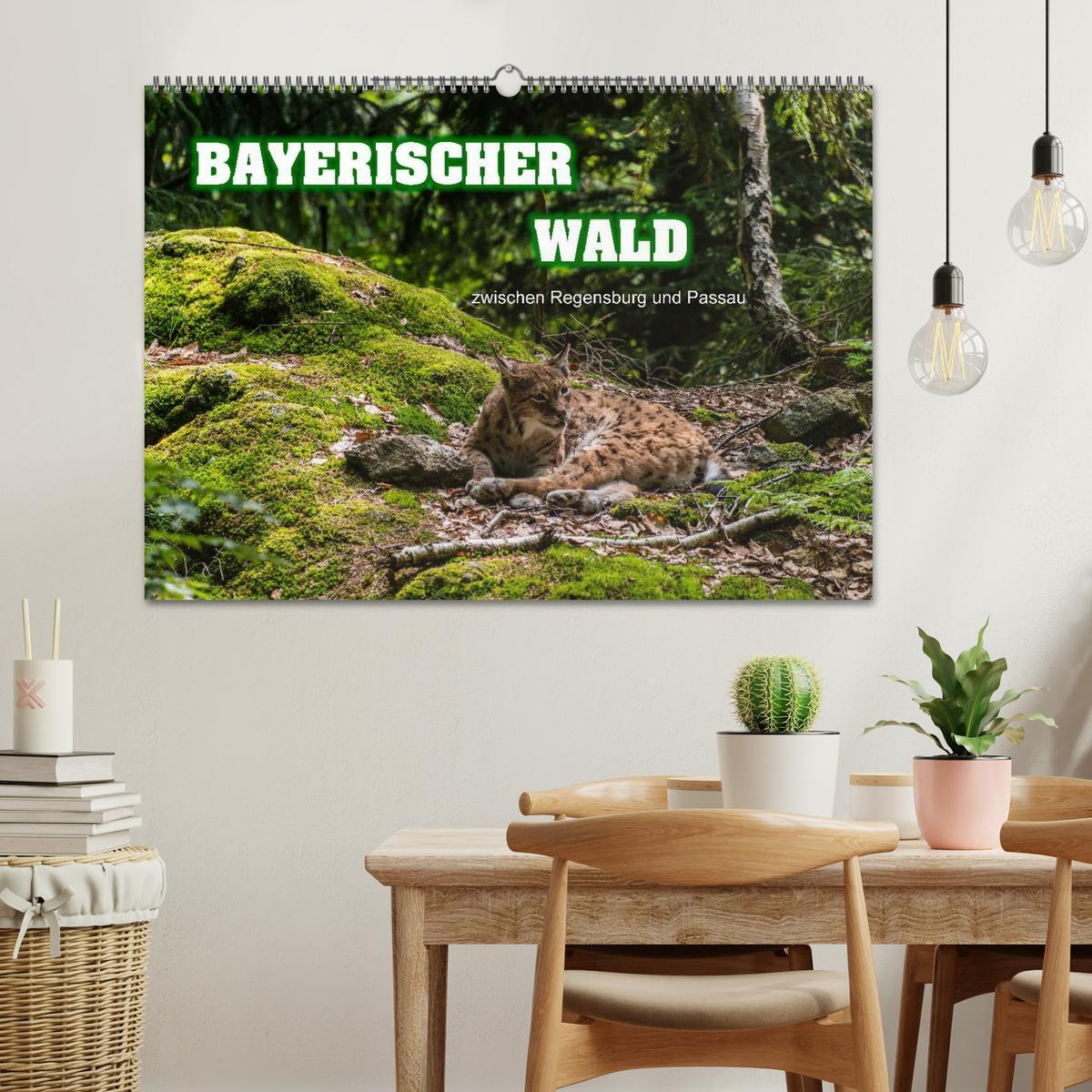 Bild: 9783435722532 | Bayerischer Wald (Wandkalender 2025 DIN A2 quer), CALVENDO...