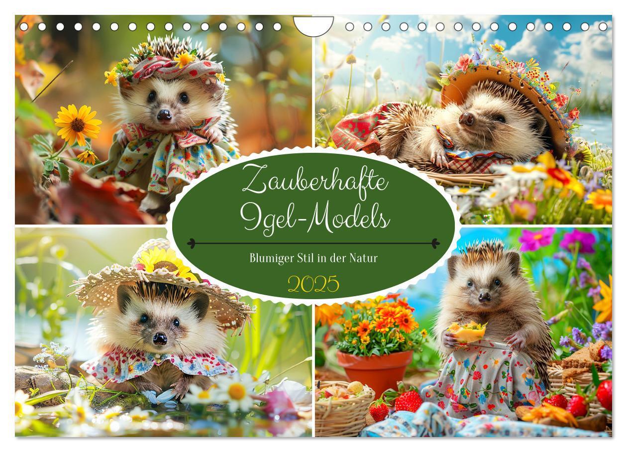 Cover: 9783435639939 | Zauberhafte Igel-Models. Blumiger Stil in der Natur (Wandkalender...