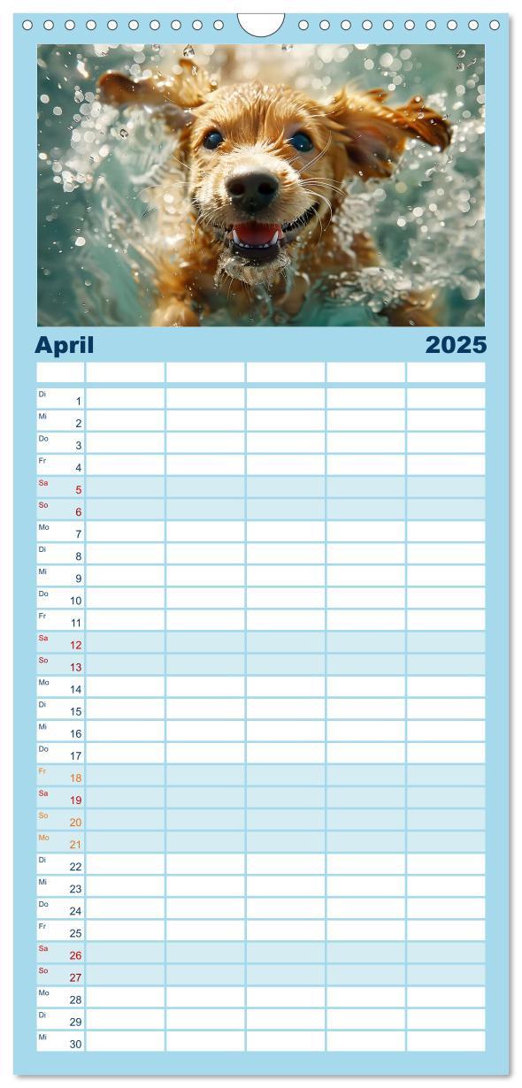 Bild: 9783457195499 | Familienplaner 2025 - Hunde und Wasser mit 5 Spalten (Wandkalender,...