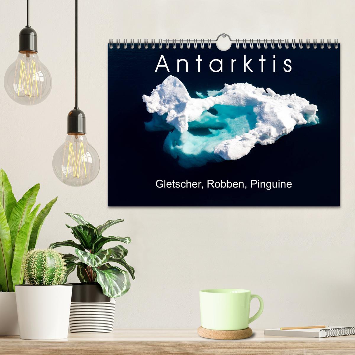 Bild: 9783435258147 | Antarktis Gletscher, Robben, Pinguine (Wandkalender 2025 DIN A4...