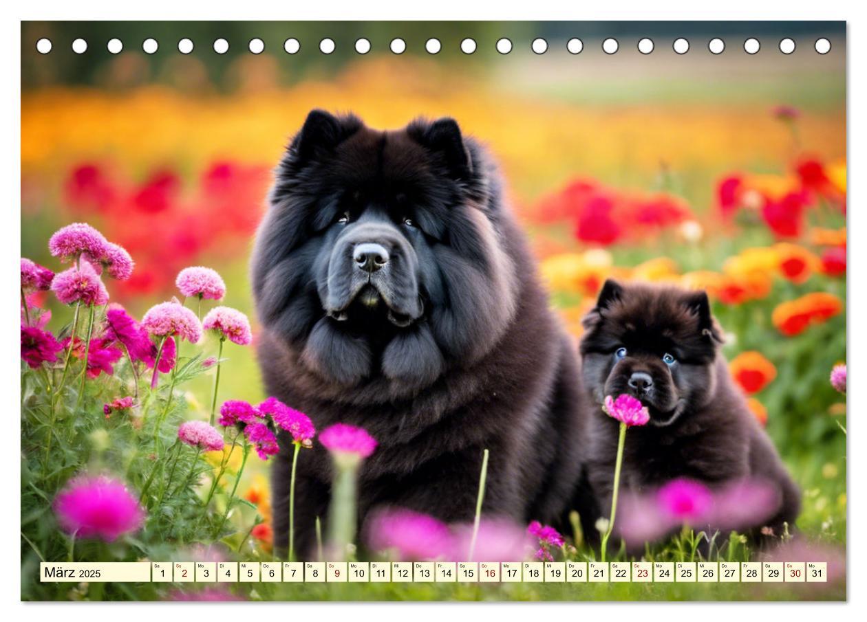 Bild: 9783457036945 | Chow Chow - der Löwenkopfhund (Tischkalender 2025 DIN A5 quer),...