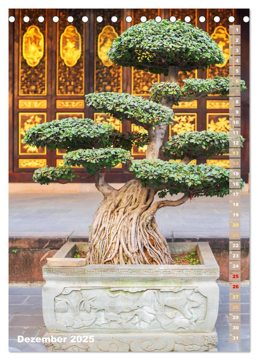 Bild: 9783435852345 | Bonsai: Gartenkunst im Kleinen (Tischkalender 2025 DIN A5 hoch),...