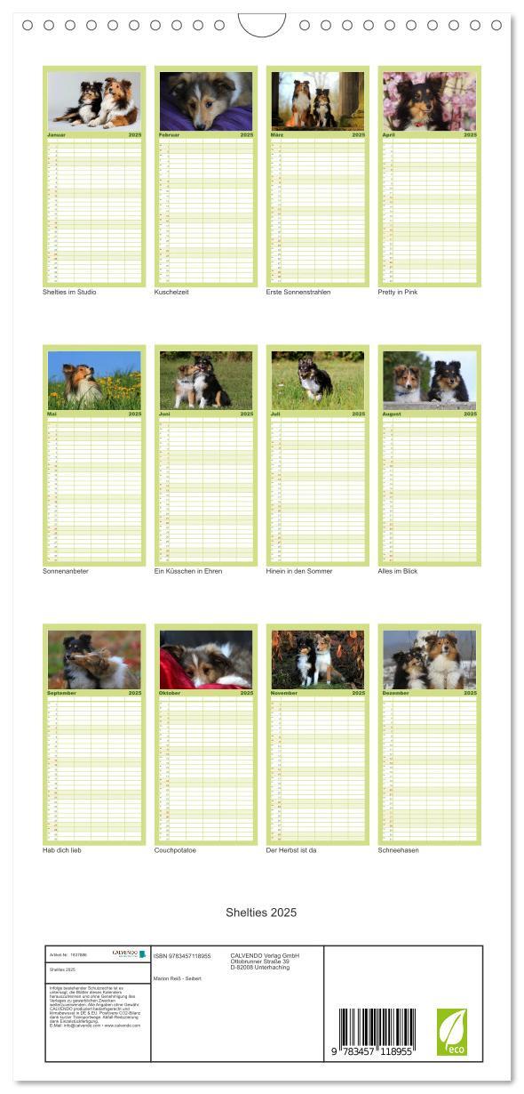 Bild: 9783457118955 | Familienplaner 2025 - Shelties 2025 mit 5 Spalten (Wandkalender, 21...