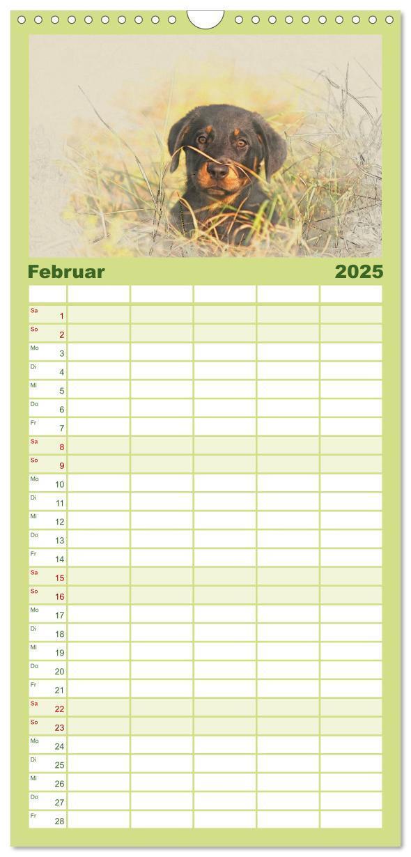 Bild: 9783457121177 | Familienplaner 2025 - Hundewelpen 2025 mit 5 Spalten (Wandkalender,...