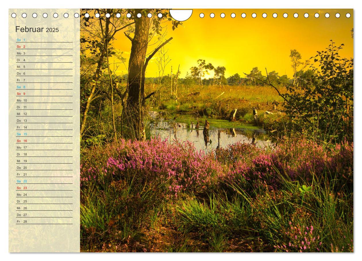 Bild: 9783435091973 | Die Heideblüte (Wandkalender 2025 DIN A4 quer), CALVENDO...