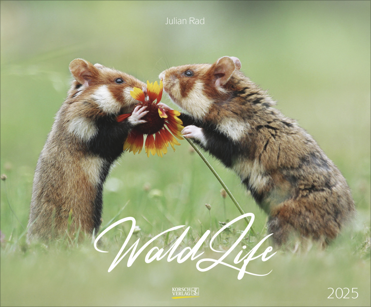 Cover: 9783731879275 | WaldLife 2025 | Korsch Verlag | Kalender | Spiralbindung | 14 S.