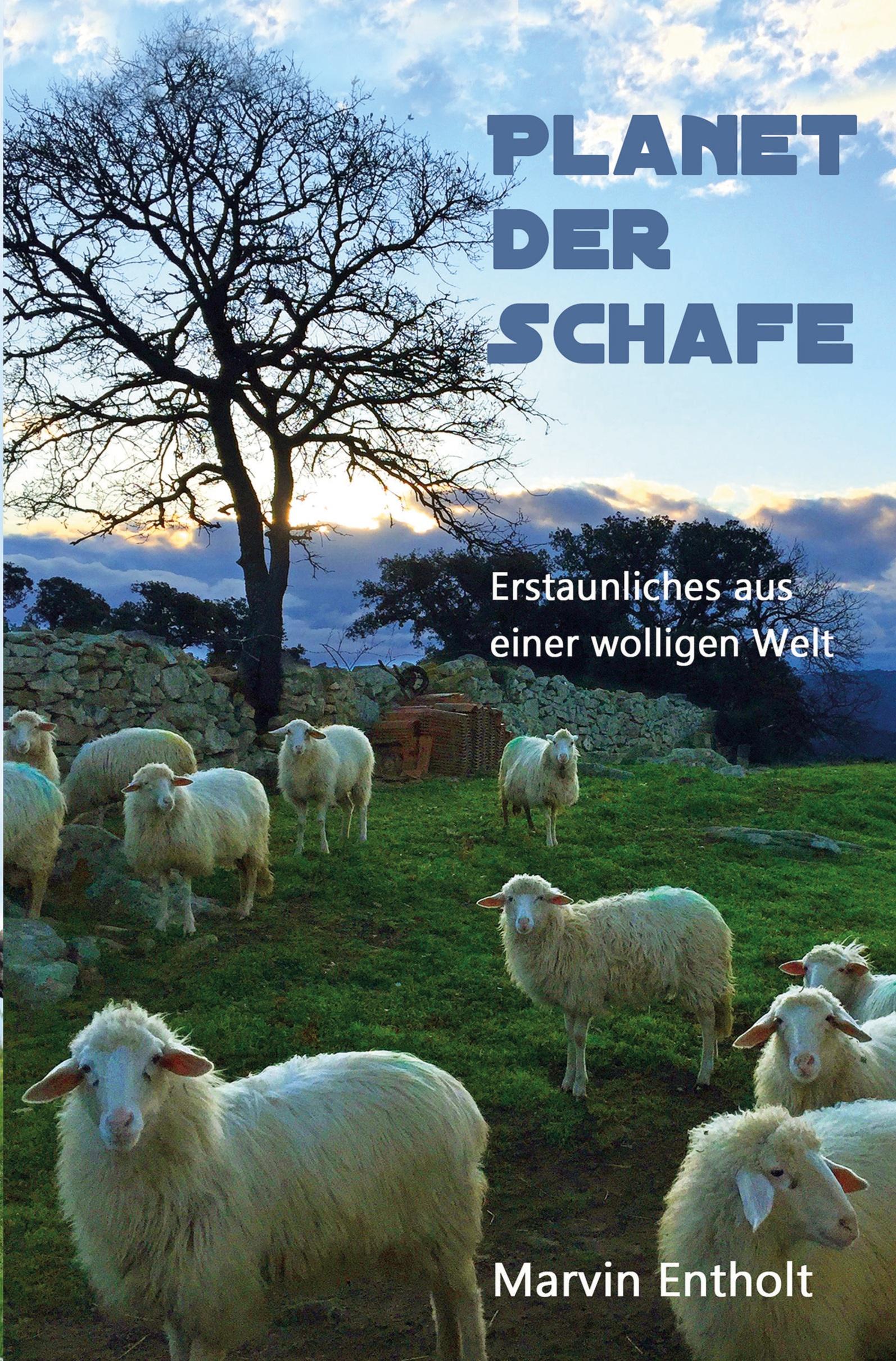 Cover: 9783754682517 | Planet der Schafe | Marvin Entholt | Taschenbuch | Paperback | 216 S.