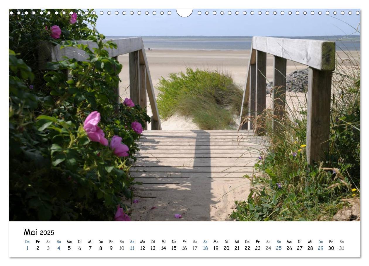 Bild: 9783435757671 | Föhr und Halligwelt 2025 (Wandkalender 2025 DIN A3 quer), CALVENDO...