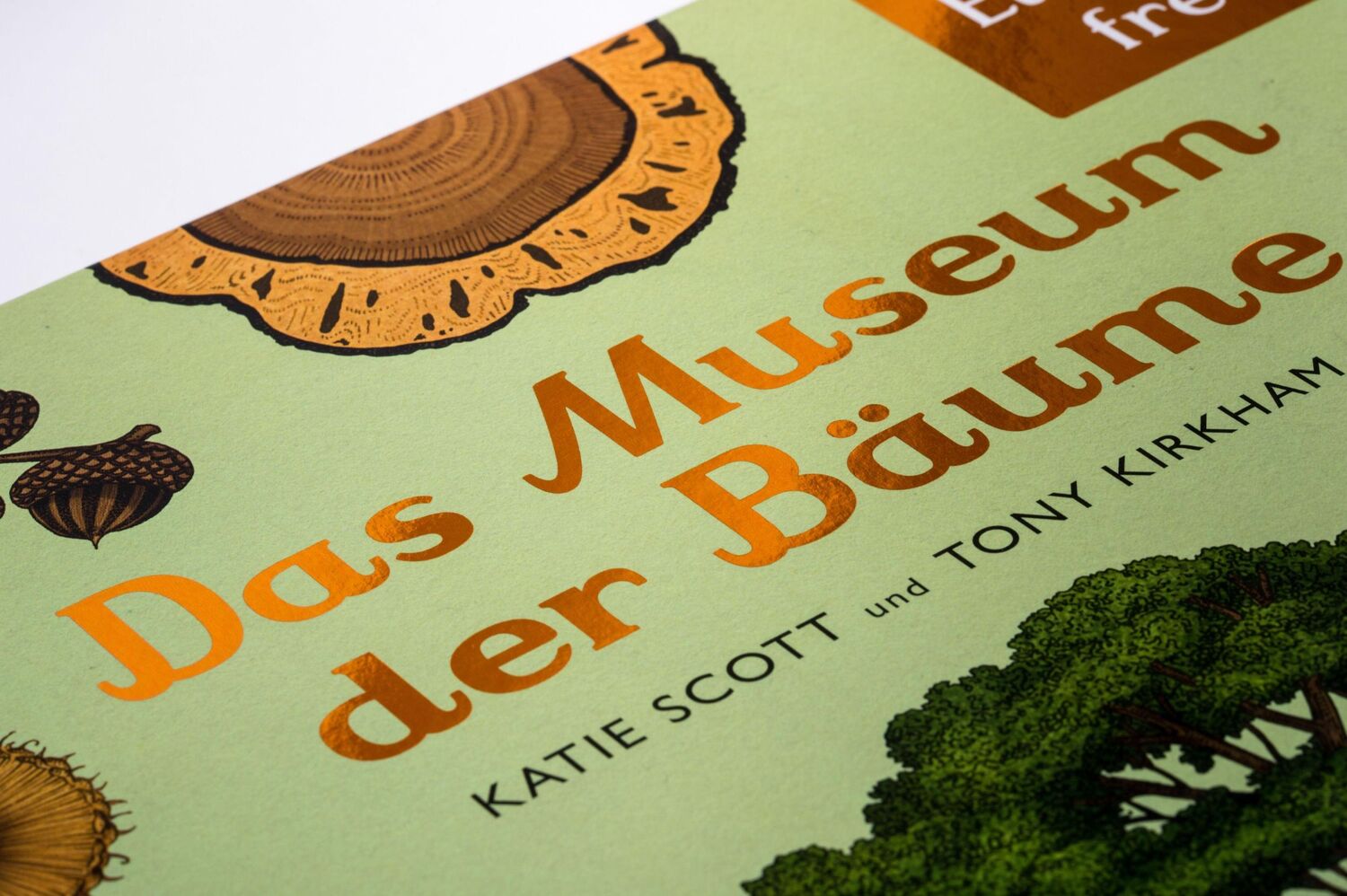 Bild: 9783791375540 | Das Museum der Bäume | Eintritt frei! | Tony Kirkham (u. a.) | Buch