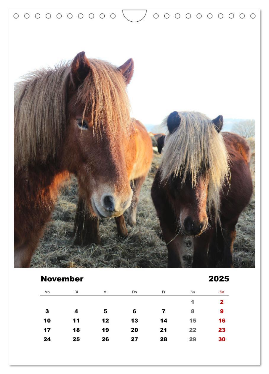 Bild: 9783435928521 | Bauernhoftiere, ganz nah dran (Wandkalender 2025 DIN A4 hoch),...