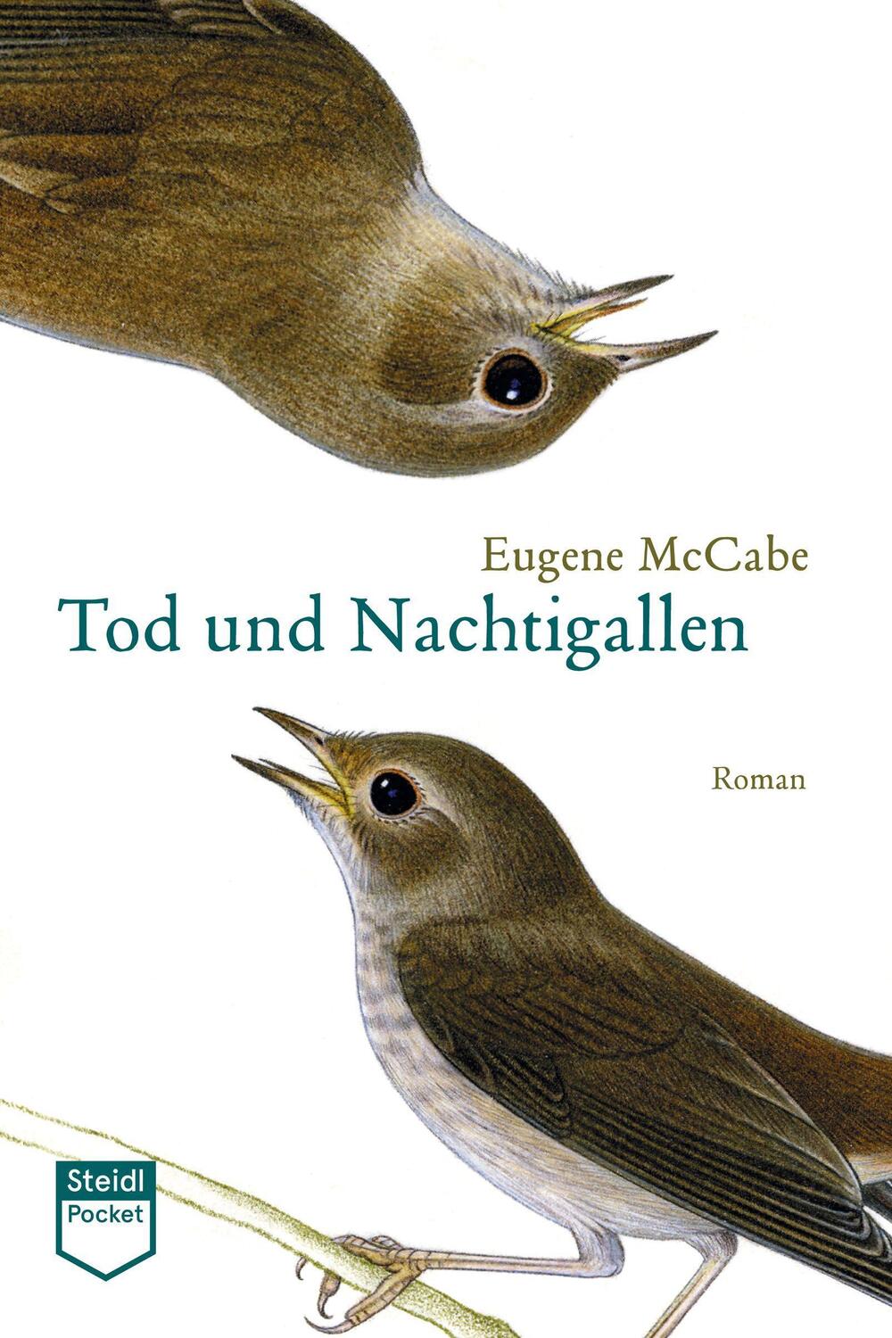 Cover: 9783958299849 | Tod und Nachtigallen (Steidl Pocket) | Eugene McCabe | Taschenbuch