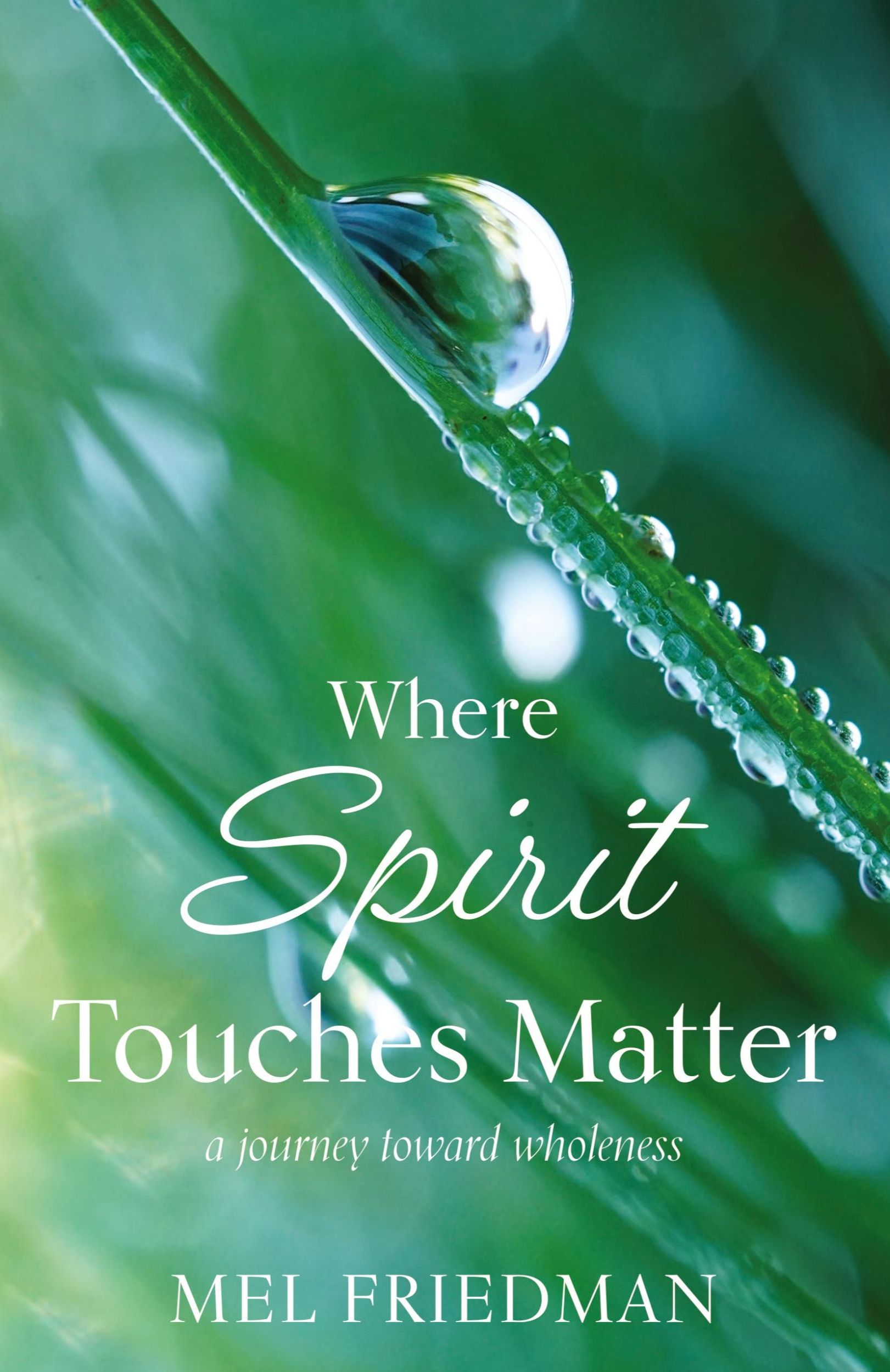 Cover: 9781611534238 | Where Spirit Touches Matter | a journey toward wholeness | Friedman