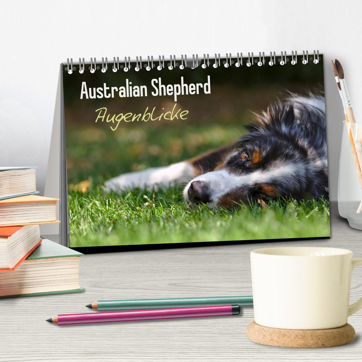 Bild: 9783435581344 | Australian Shepherd - Augenblicke (Tischkalender 2025 DIN A5 quer),...