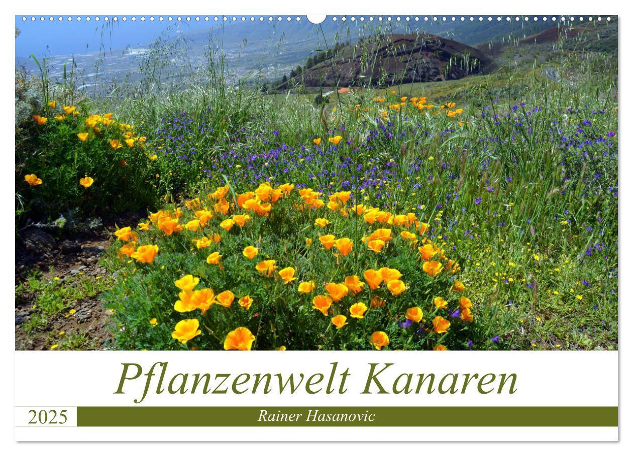 Cover: 9783435430314 | Pflanzenwelt Kanaren (Wandkalender 2025 DIN A2 quer), CALVENDO...