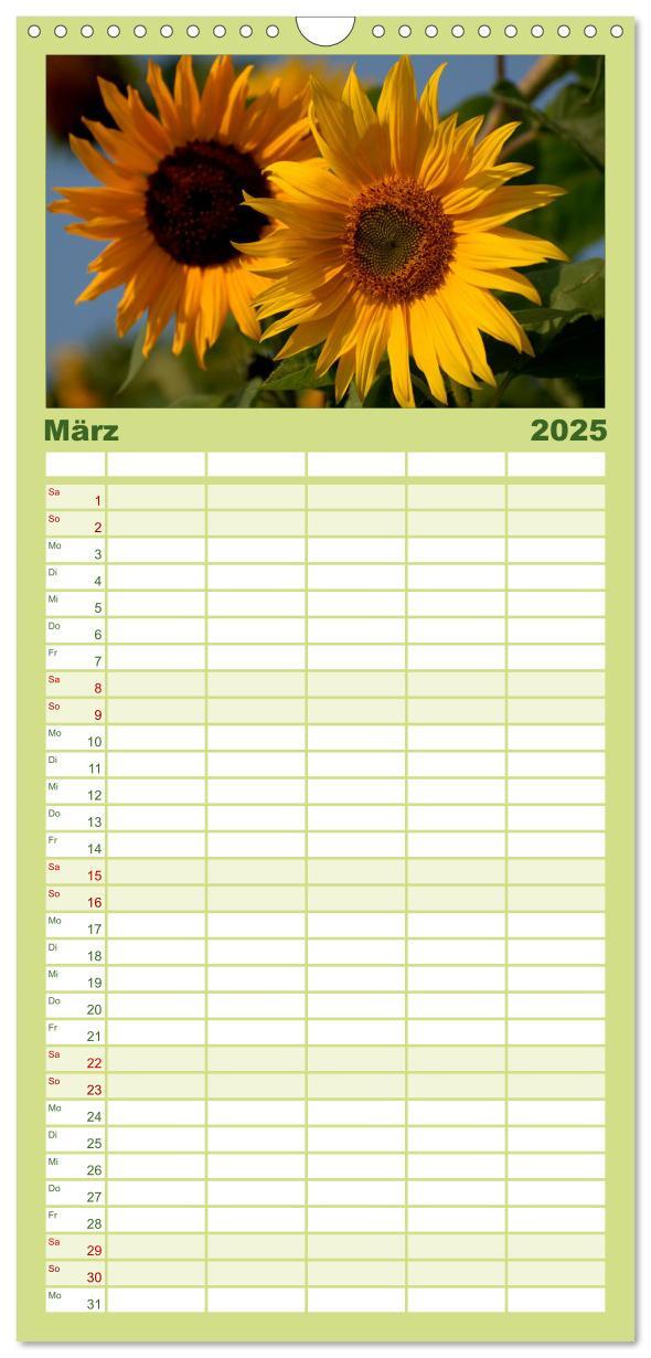 Bild: 9783457110928 | Familienplaner 2025 - Sonnenblumen mit 5 Spalten (Wandkalender, 21...