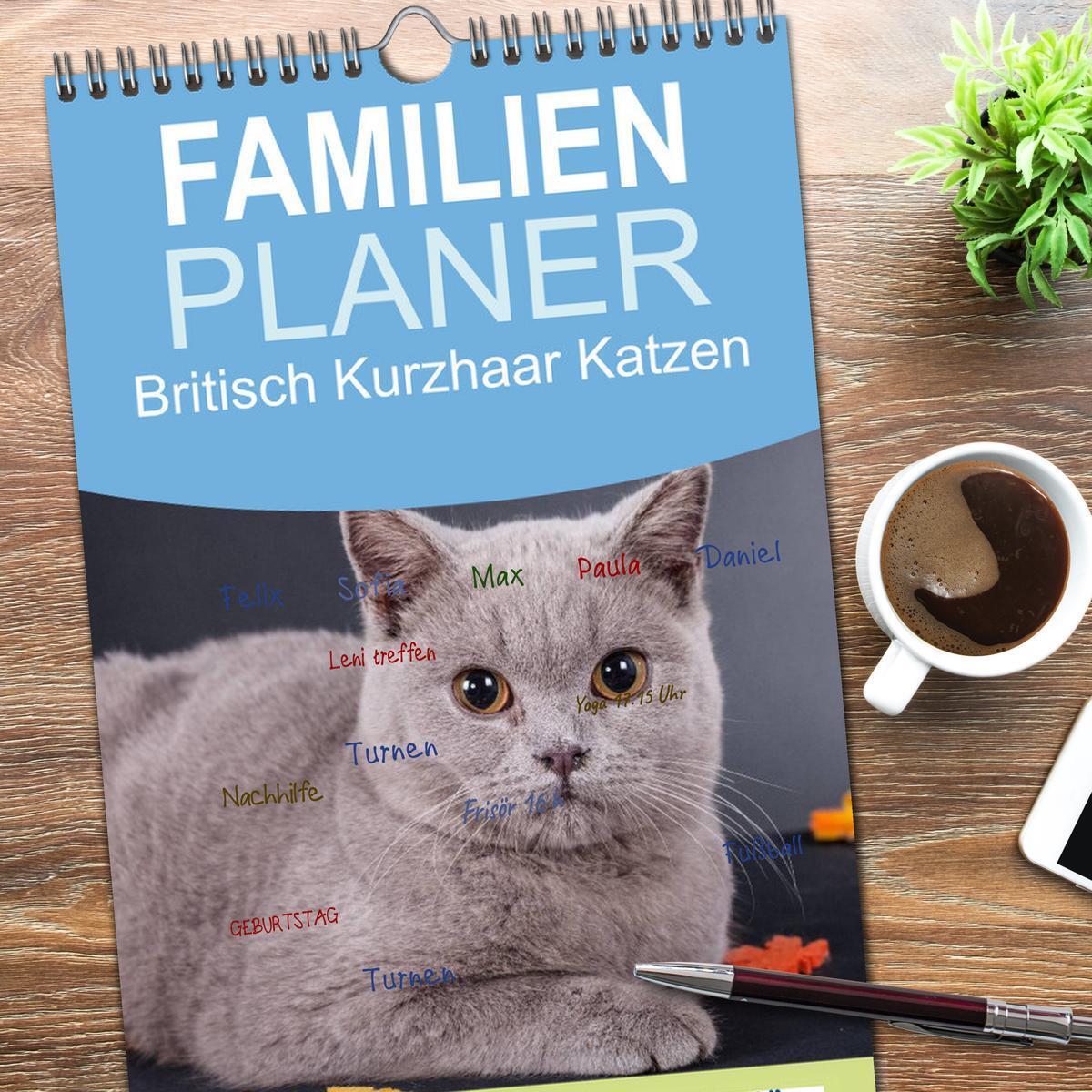 Bild: 9783457110645 | Familienplaner 2025 - Britisch Kurzhaar Katzen mit 5 Spalten...