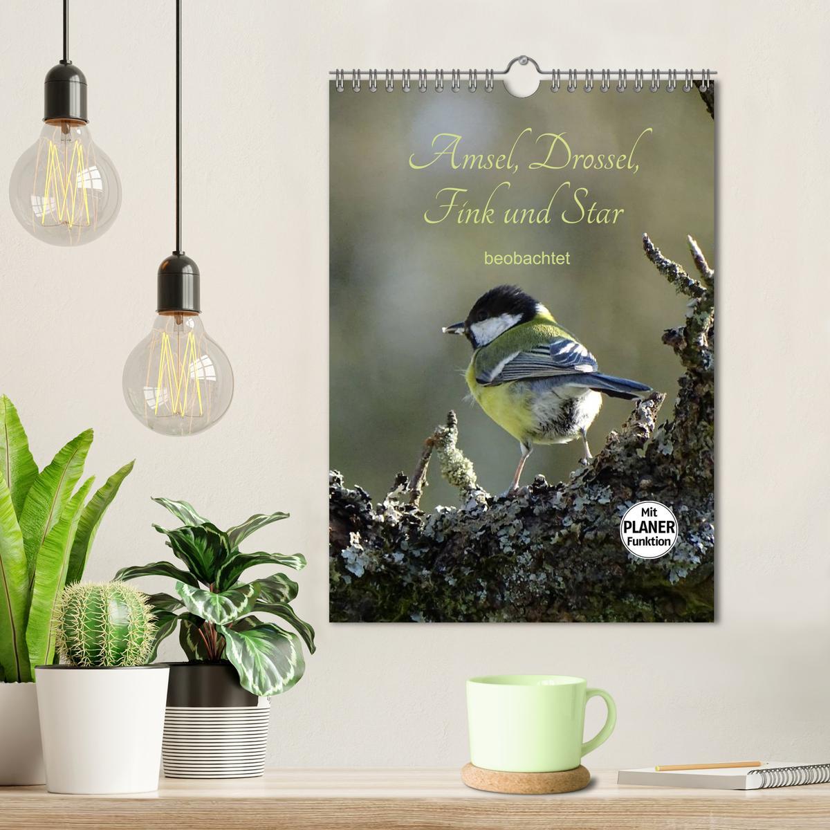 Bild: 9783457042380 | Amsel, Drossel, Fink und Star - beobachtet (Wandkalender 2025 DIN...