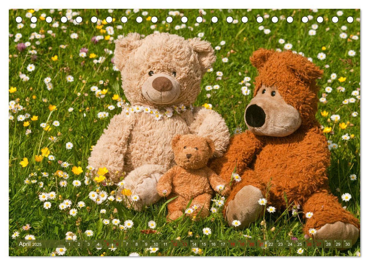 Bild: 9783435410842 | Kunterbunte Bärenwelt - Teddys (Tischkalender 2025 DIN A5 quer),...