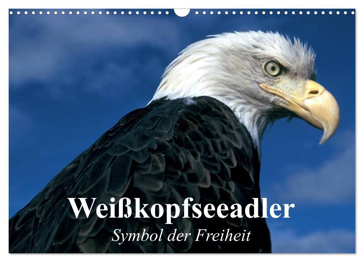 Cover: 9783435517886 | Weißkopfseeadler. Symbol der Freiheit (Wandkalender 2025 DIN A3...