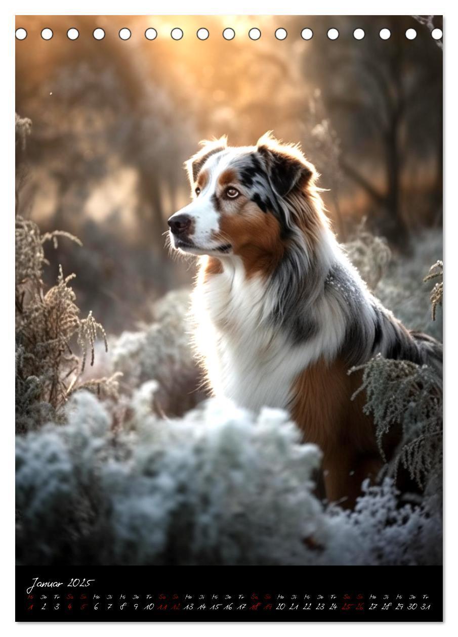 Bild: 9783435877249 | Australian Shepherd (Tischkalender 2025 DIN A5 hoch), CALVENDO...