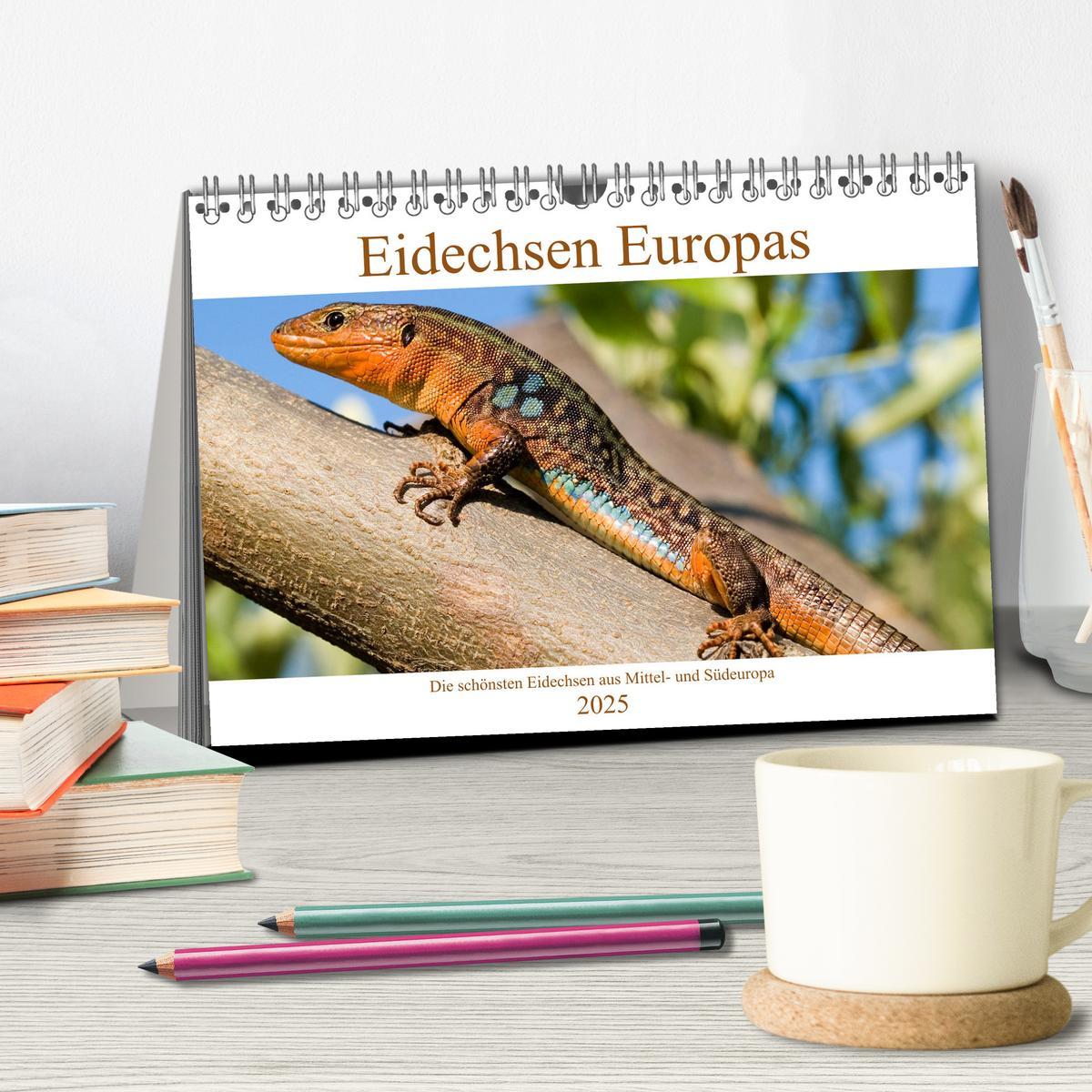 Bild: 9783435098514 | Eidechsen Europas (Tischkalender 2025 DIN A5 quer), CALVENDO...