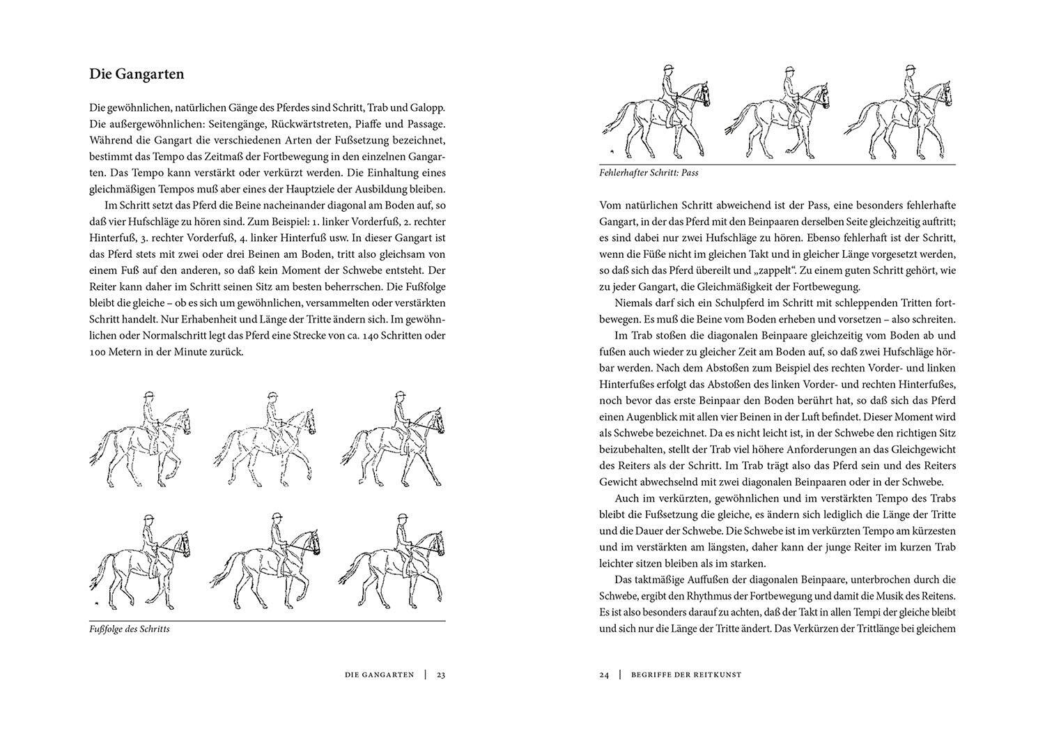 Bild: 9783440174166 | Die klassische Reitkunst | Alois Podhajsky | Buch | 304 S. | Deutsch